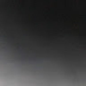 Meet your Posher, Jayla